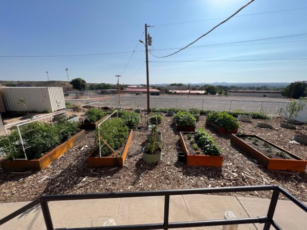 Metal Planters - Image 3